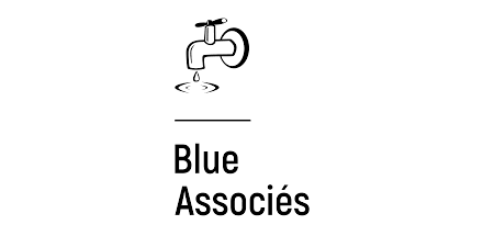 Blue Associés SNC